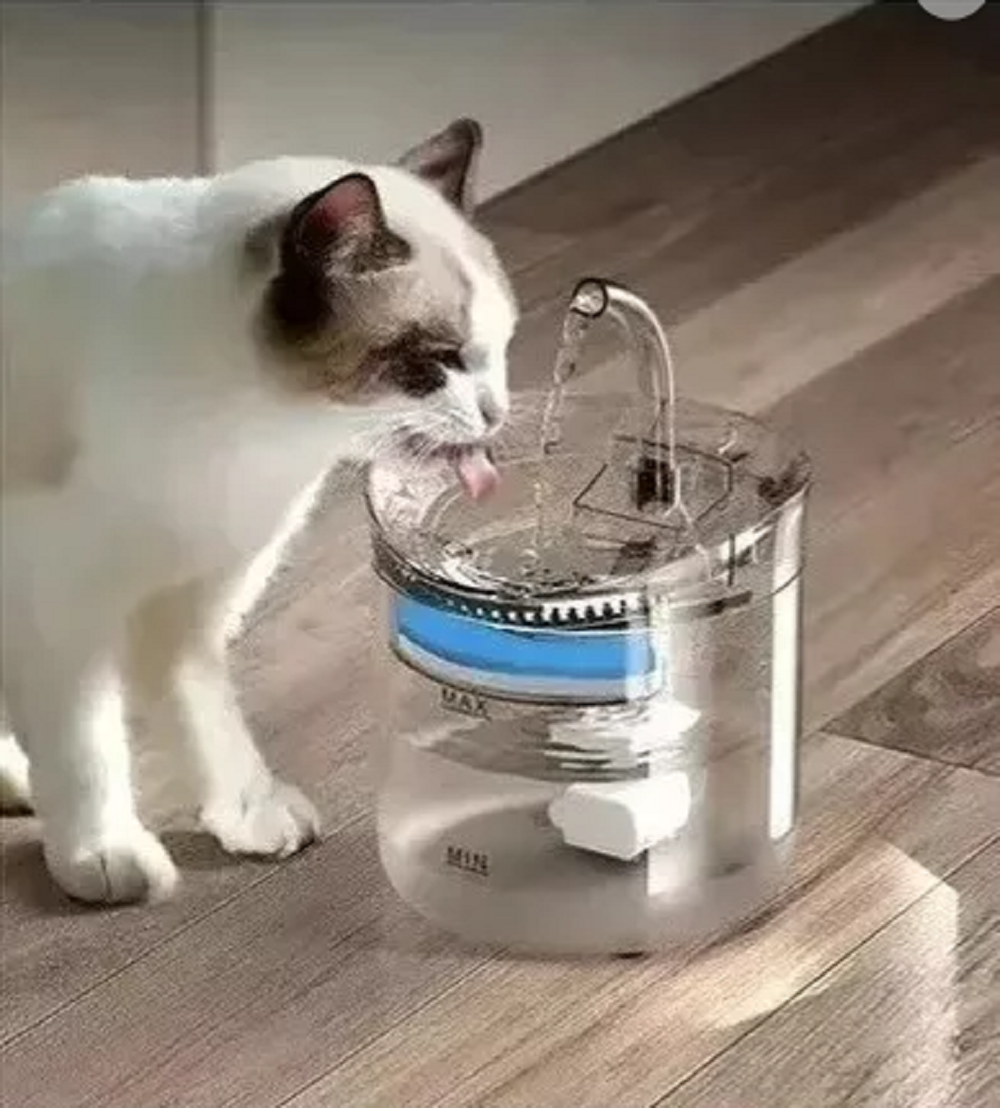 Fuente De Agua Para Mascotas Transparent
